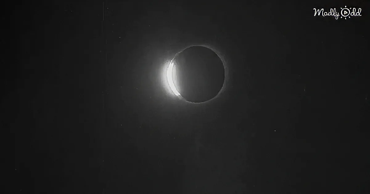 Watch the Oldest Footage of a Solar Eclipse, Captured by a Magician 120 Years Ago