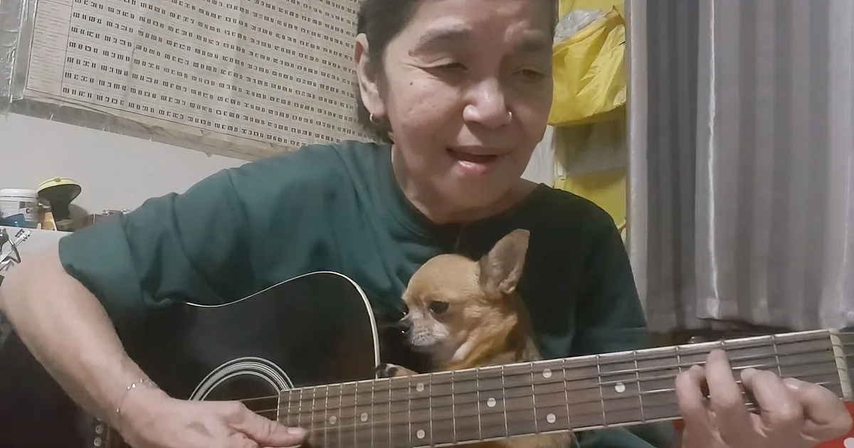 Guitar Playing Grandma Performs 'You Are My Sunshine' for Her Sleepy Dog and Backup Vocalist Cat