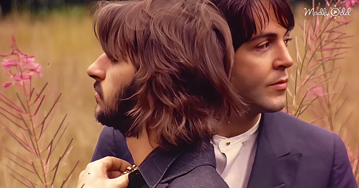 Let This New Beatles Music Video for 'Here Comes the Sun' Light up Your Day