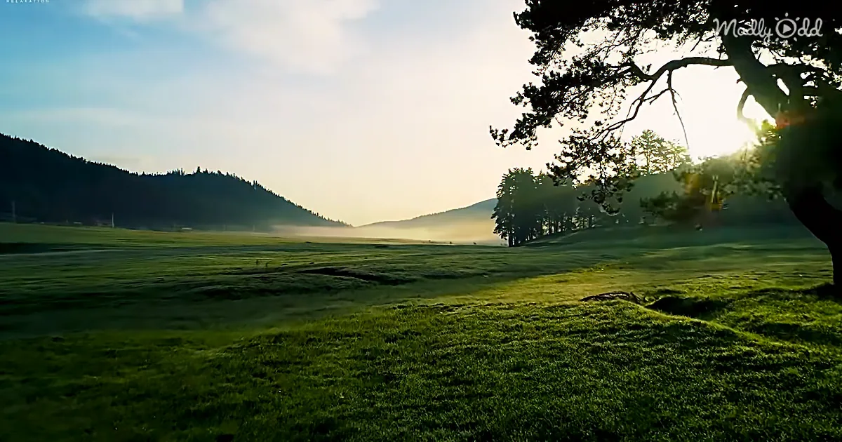 Find Your Way Back to Bliss With This Three-Hour Mix of Healing Sounds