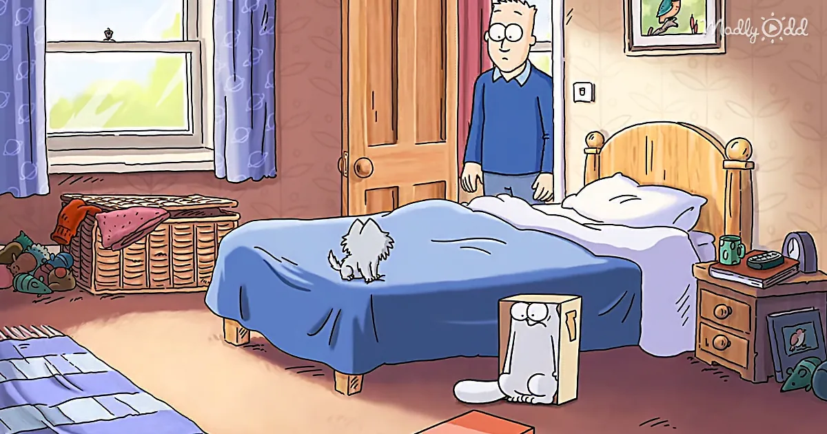 Adorable Cat Animation 'Off to the Vet' Is Something Every Cat Owner Can Relate To
