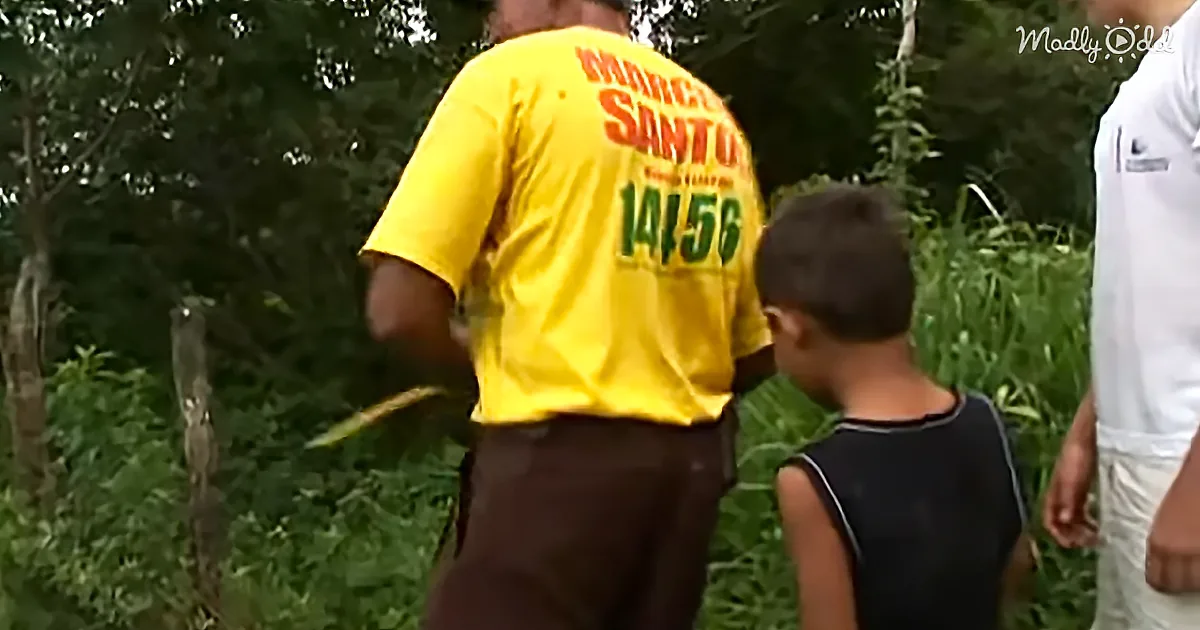 Couple Spends 20 Years Planting an Entire Forest and Wildlife Has Returned