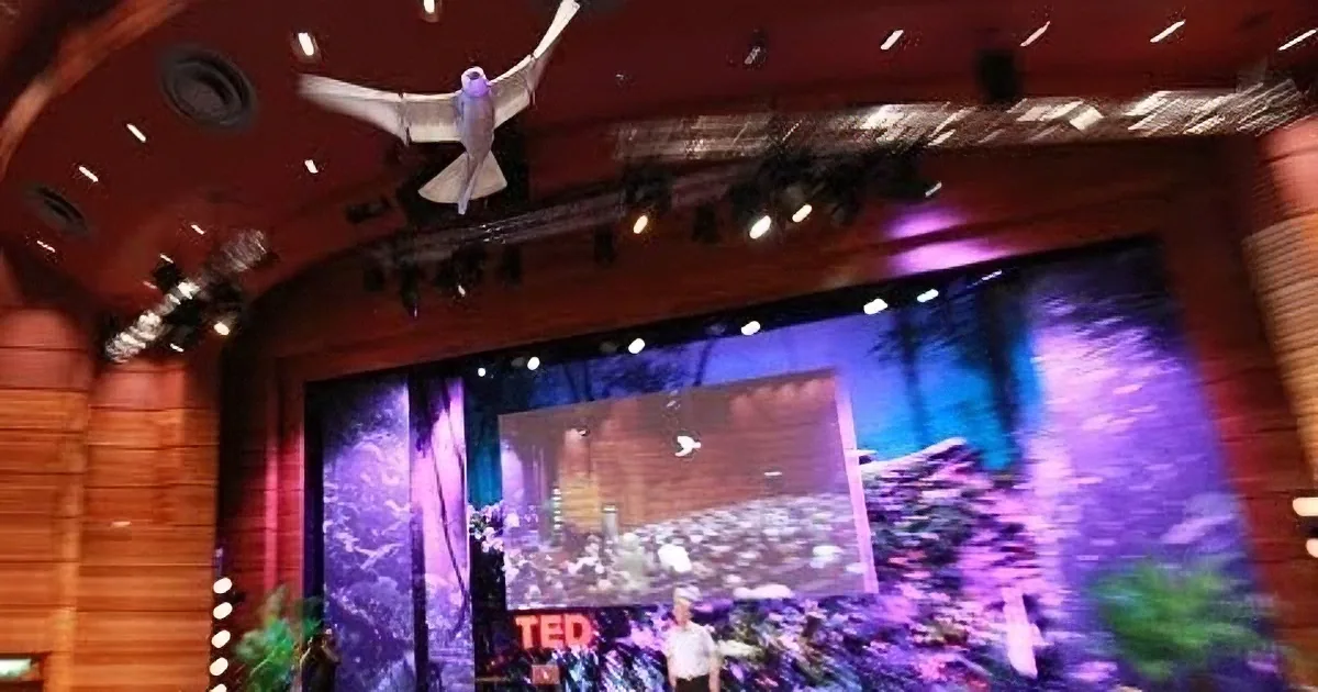A flying bat model is suspended above a TED stage with a large audience and colorful lighting.
