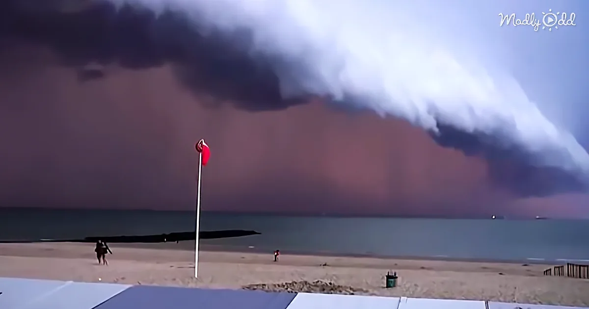 A beach scene with a dramatic dark cloud formation dominating the sky, people walking on the sand.