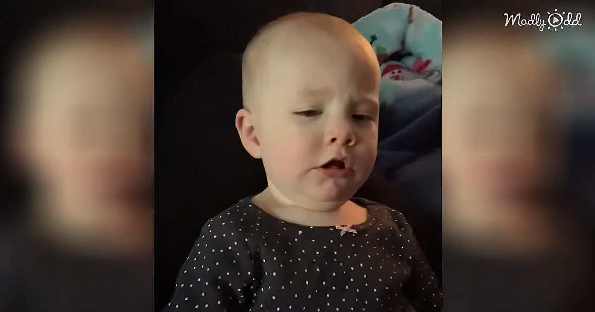 A baby with a bald head, wearing a black polka-dot shirt, looks down with a curious expression.