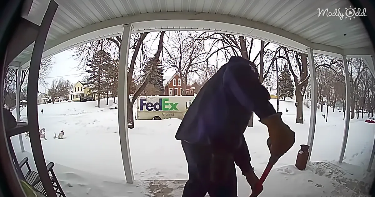 Fedex Driver Quietly Shovels Snow From Widow''s Porch After Learning Her Husband Died Recently