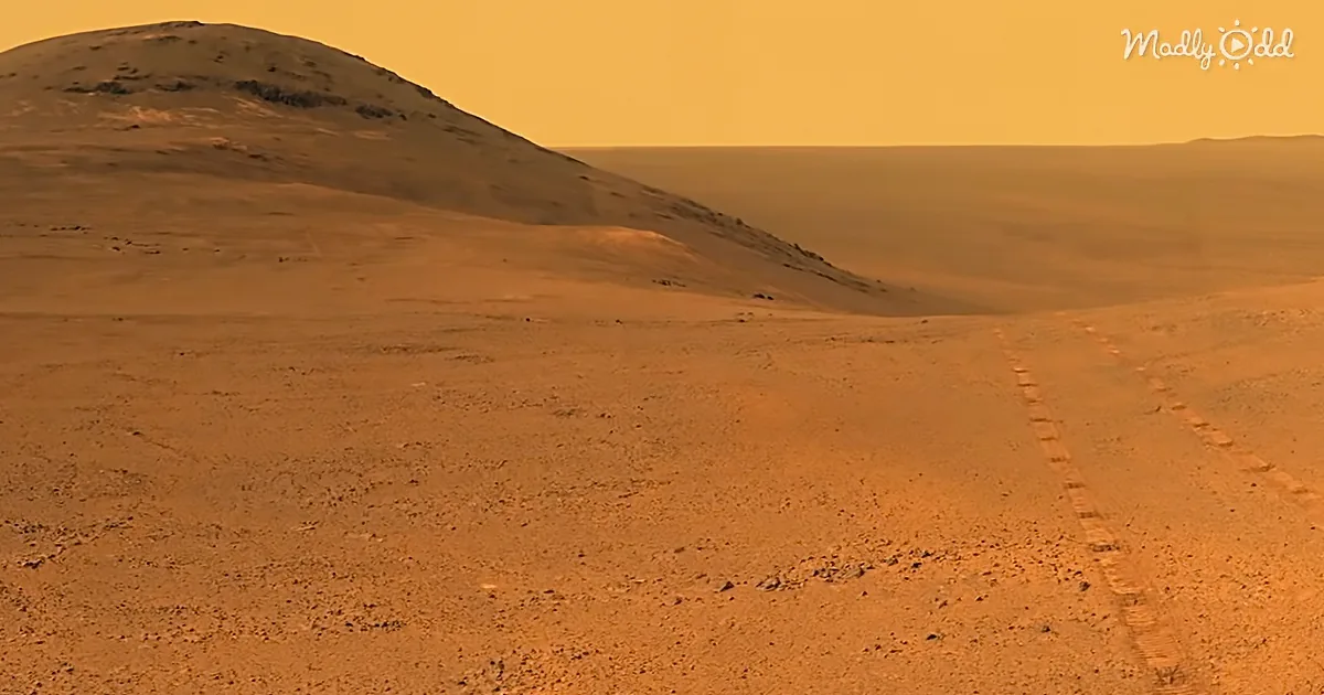 A vast, barren desert landscape with a prominent hill and a series of tracks leading into the distance.