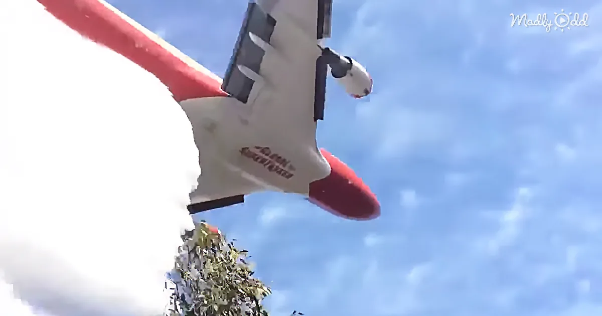 Insane Footage of Low-Flying Supertanker Dropping 72.6 Tons of Water on Forest Fire