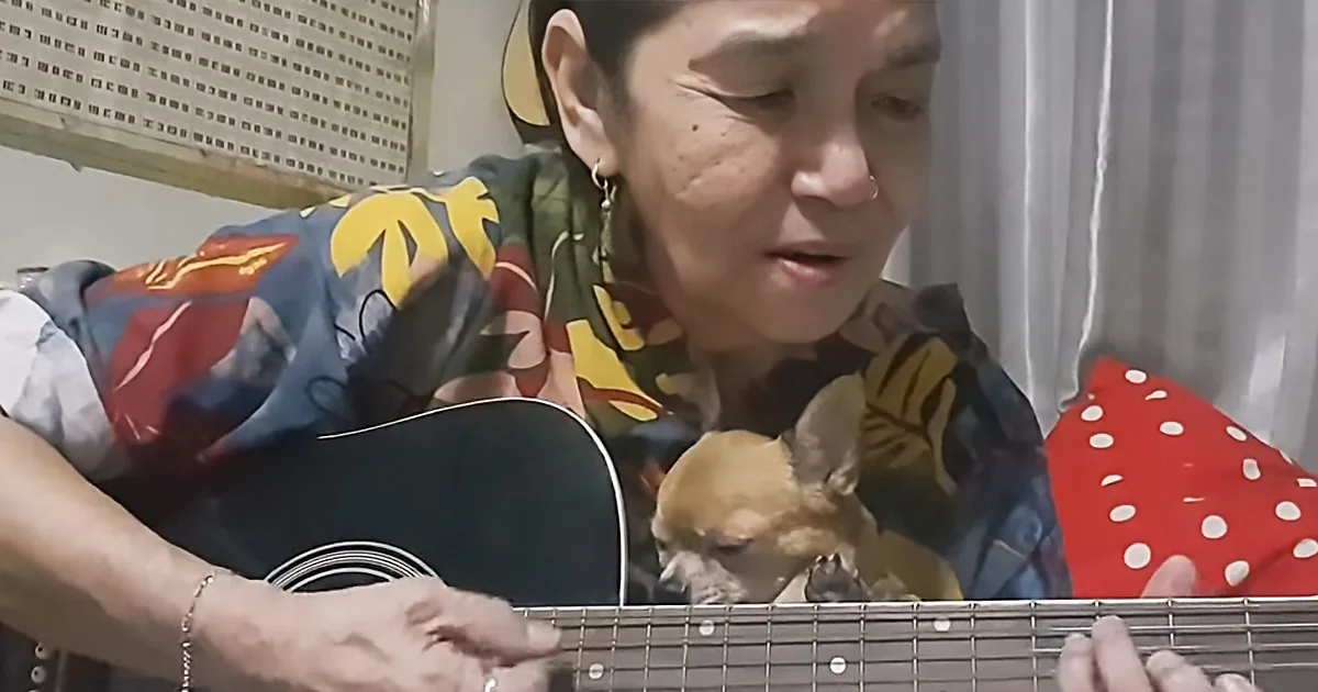 Woman Serenades Her Chihuahua With Paul Anka's 'Put Your Head on My Shoulder,' and It Is the Sweetest Thing