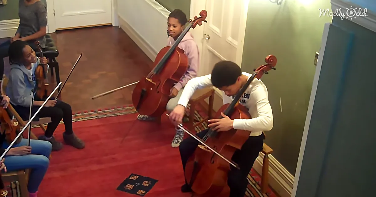A young man plays cello in a room with other musicians, including a violinist and a cellist.
