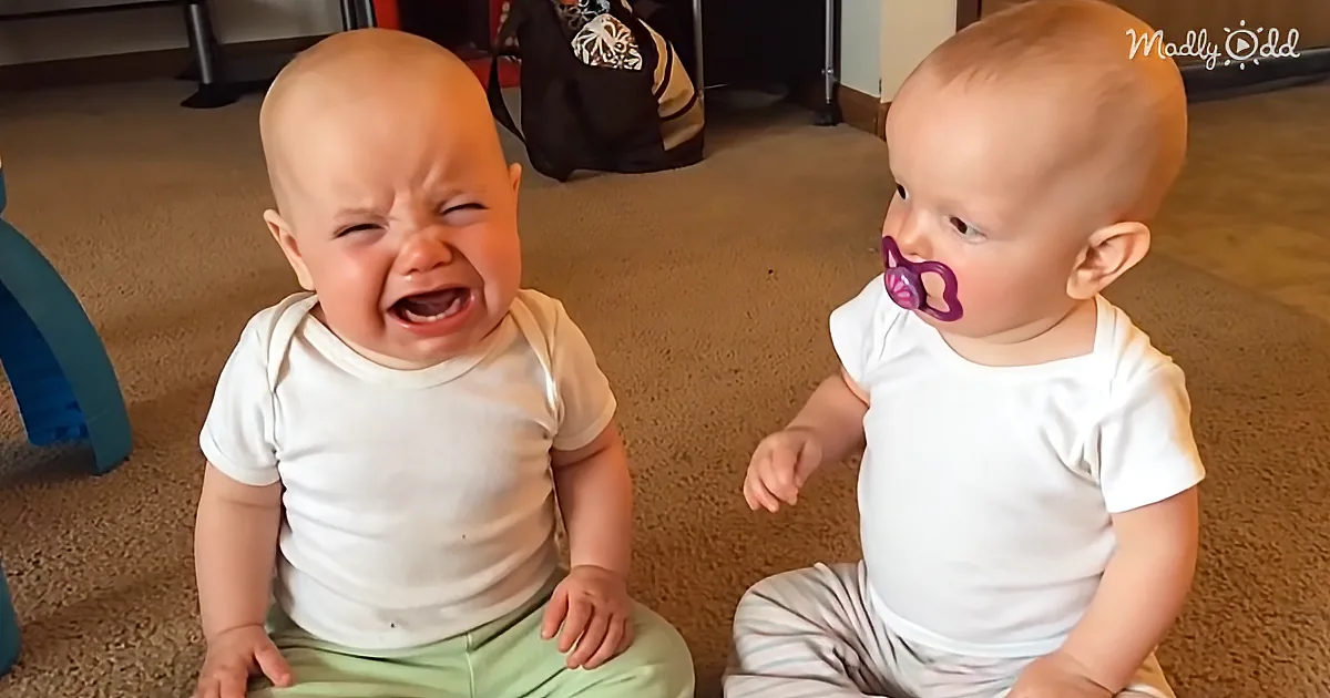 You''ve Never Seen Determination Like This as These Twin Baby Girls Fight Over Pacifier Rights