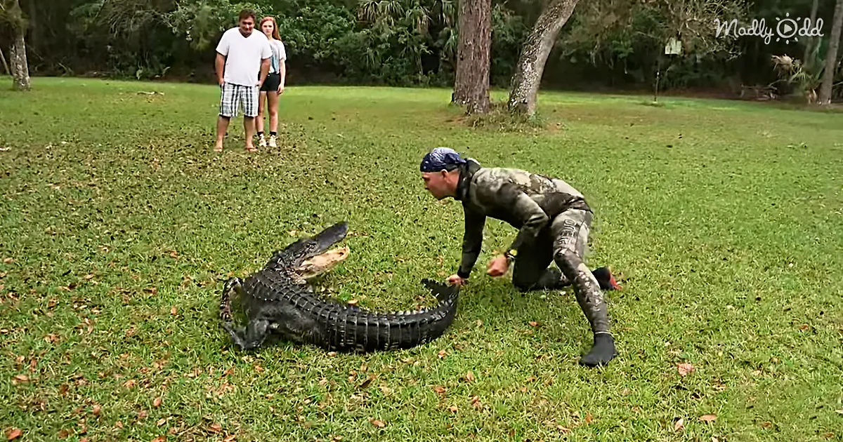 Brave Man Swims Into Gator-Infested Water to Rescue an Alligator Who Is Way Too Friendly