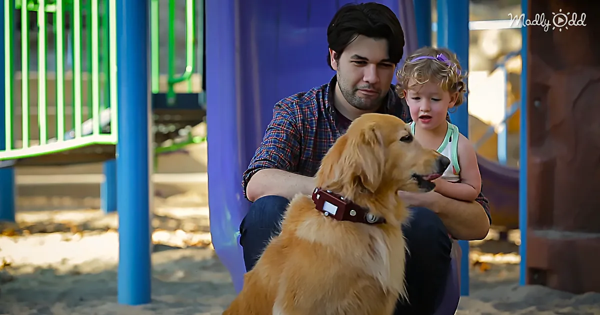A man and a child sit on a playground, petting a golden retriever dog.