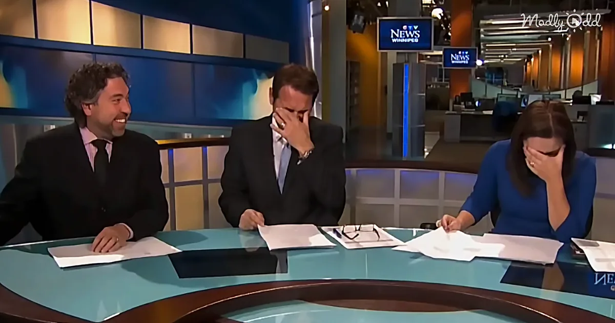 News Anchor Bursts Into Laughter While Describing a Man Dressed & Living Like a Goat