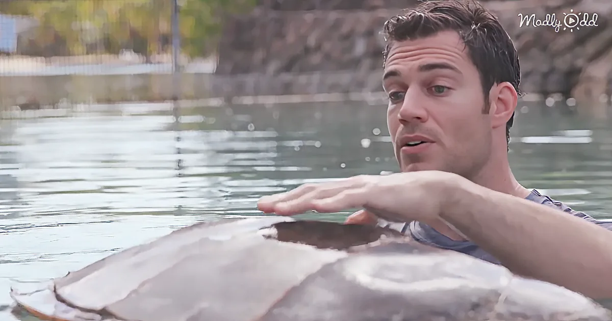 A man in water holds a large stingray, with a rocky background and blurred trees.