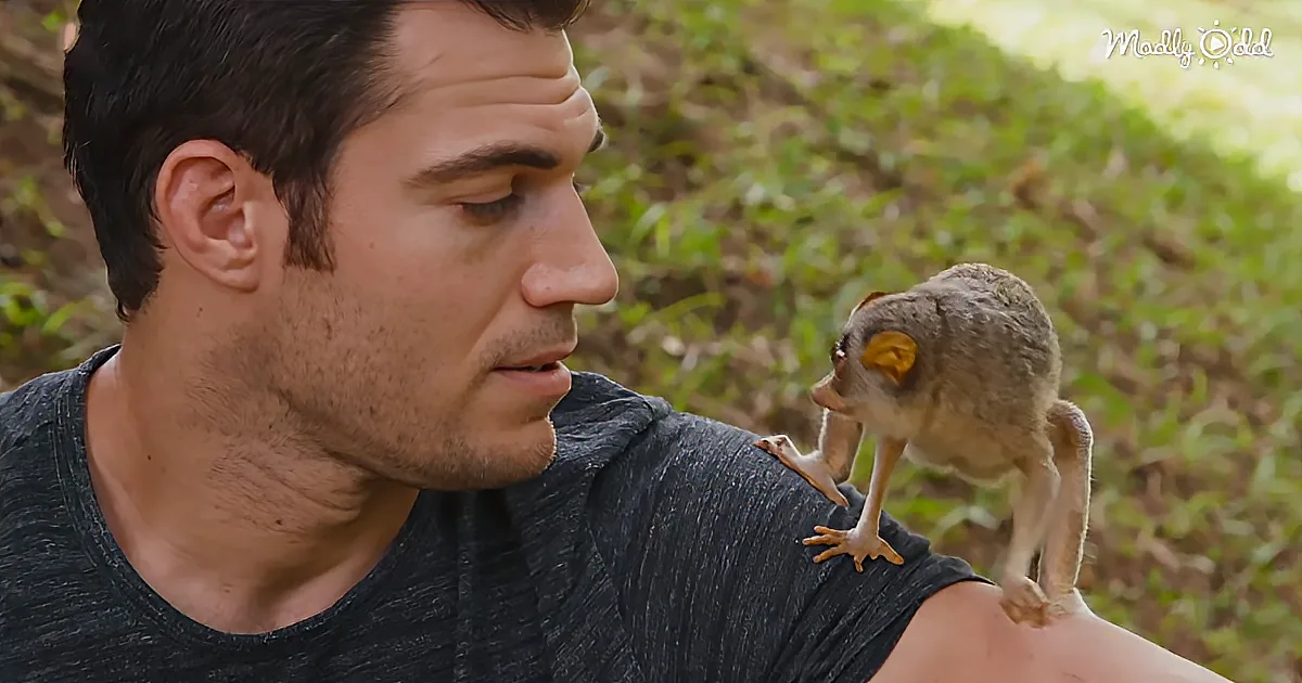 A man in a dark shirt has a small, furry animal perched on his shoulder in a natural setting.