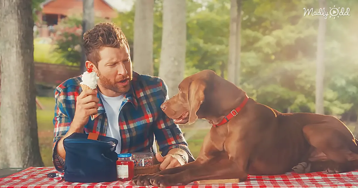 Brett Eldredge's Dog Is the Star of the Show in 'Love Someone'