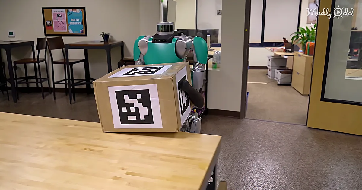 Meet Digit V2, the Robot Who Wants to Deliver Your Packages