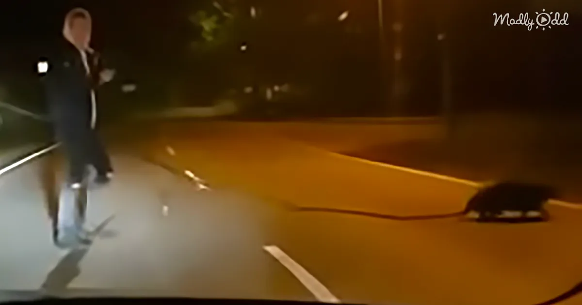 A person in a dark suit stands on a wet road at night, holding a phone.