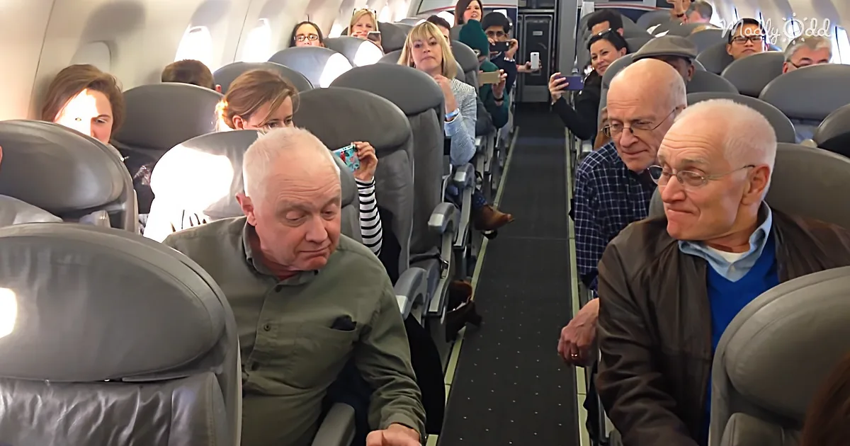 Four Seniors Save the Day Singing Acapella Through Flight Delay