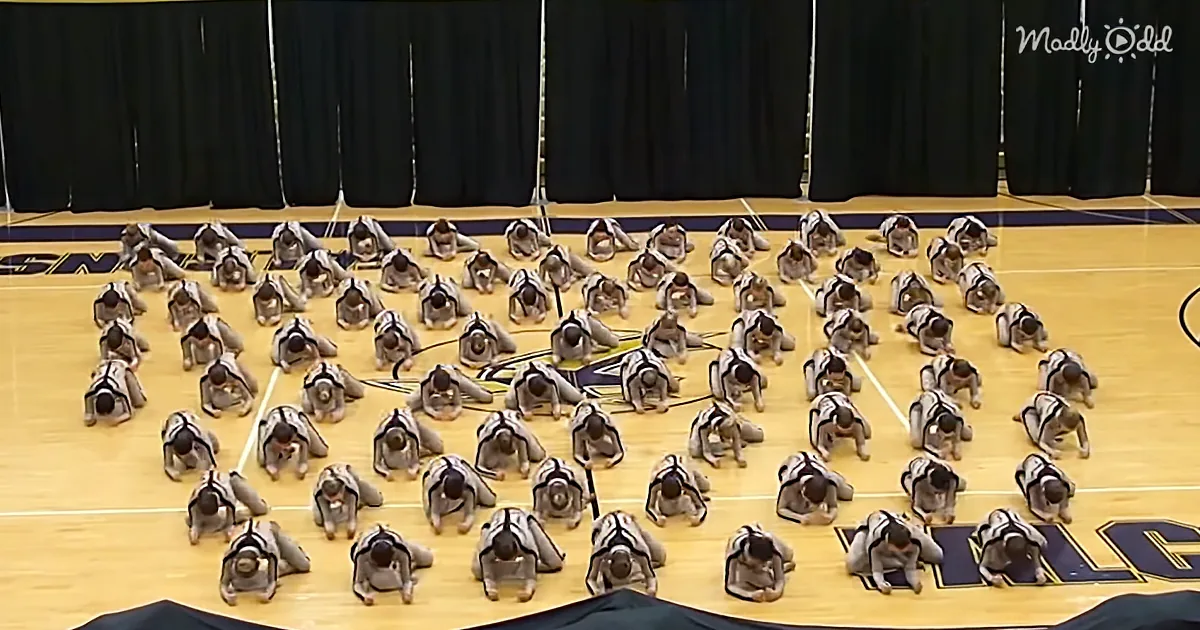 Dance Team Drops Jaw-Dropping Routine Making the Audience Roar With Applause