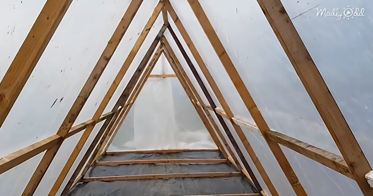 Here's How to Build Your Own Greenhouse for Less Than $200
