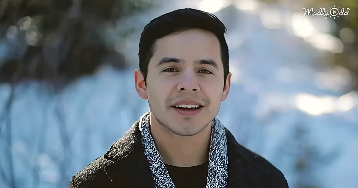 David Archuleta Perfectly Captures the Spirit of Christmas With 'Winter in the Air'