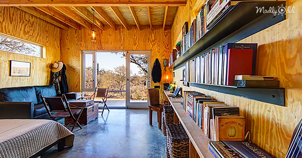 A cozy, rustic room with wooden walls, a bookshelf, and a view of the outdoors through a glass door.