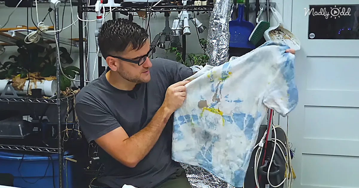 He Wanted to Grow His Own T-Shirt, and It Only Took 3 Years and $5000