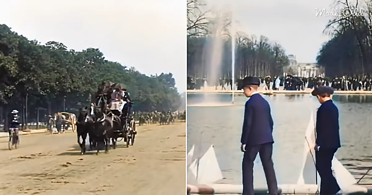 Horse-drawn carriage and two men in suits near a fountain in a park.