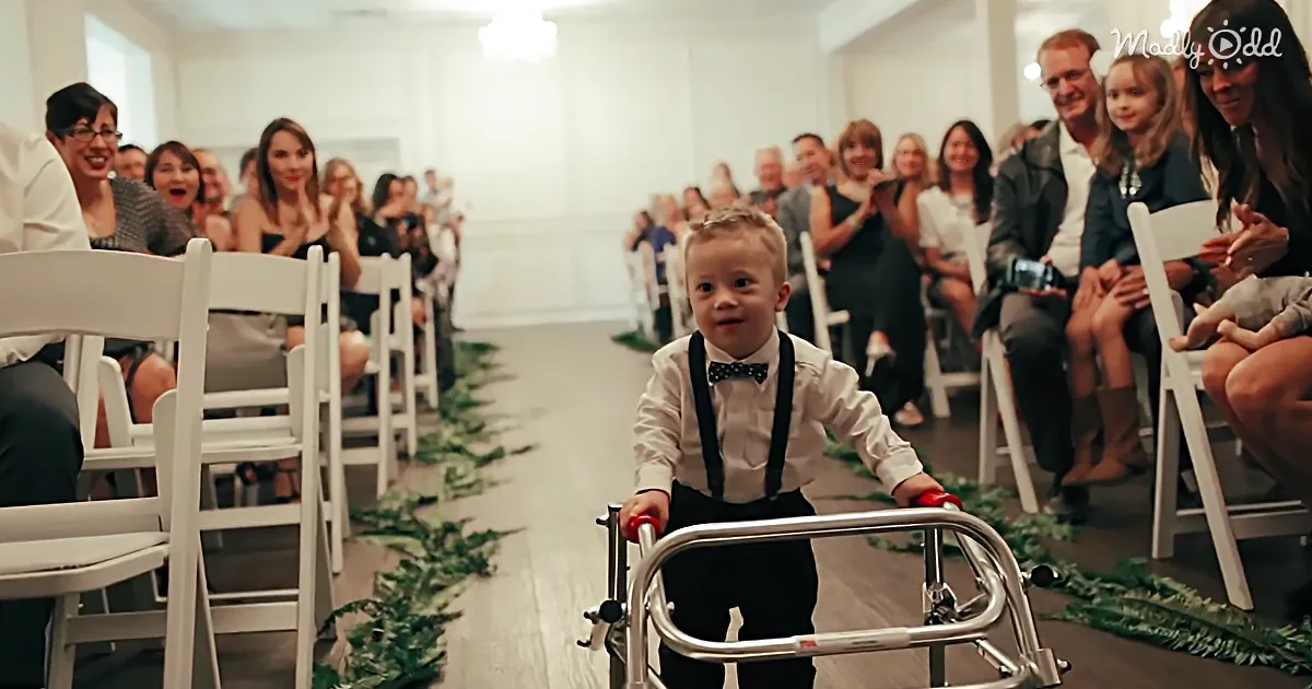 Adorable Toddler With Down Syndrome Proudly Walks Aisle as Ring Bearer