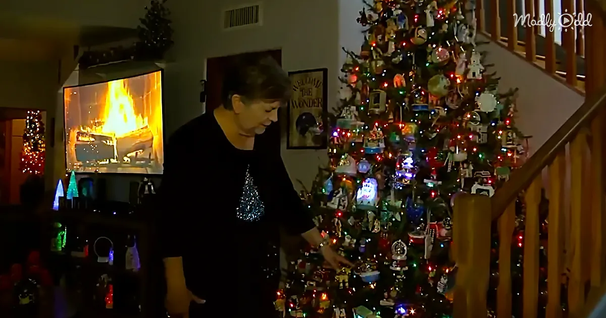 An Excessive Love of Christmas Trees, by Arizona Woman