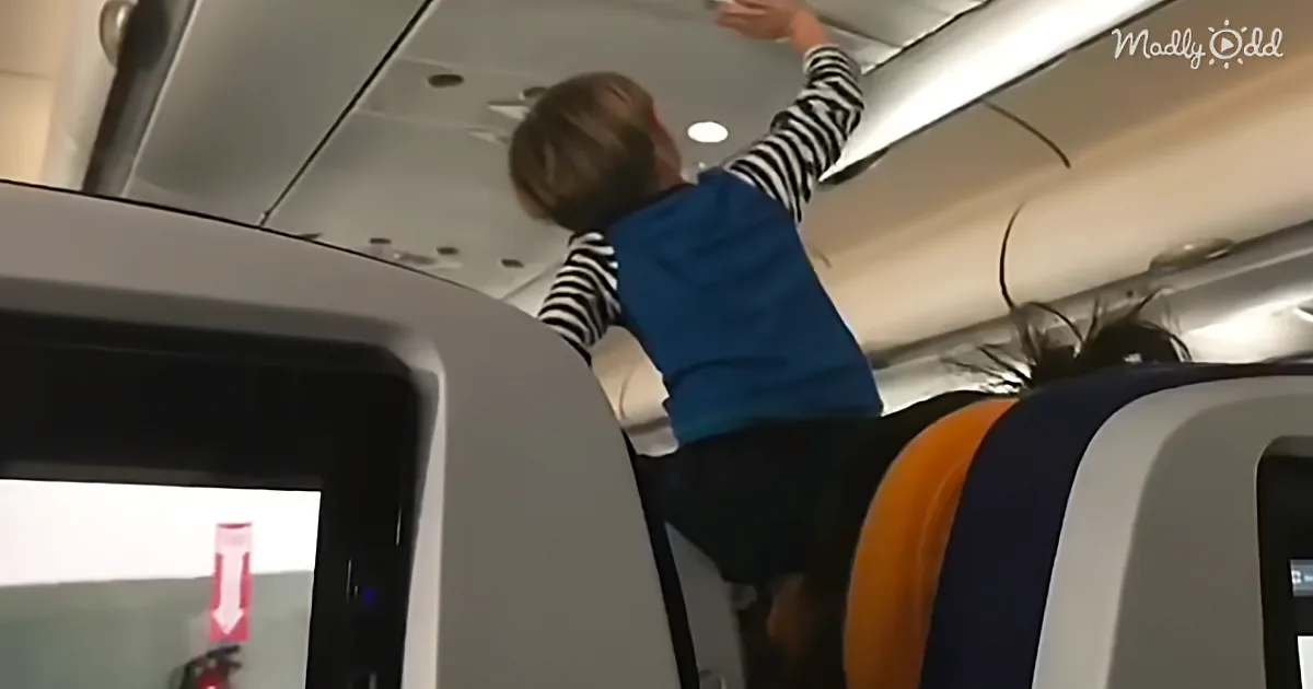 Air Travel Proves to Be Too Much for a Toddler to Handle