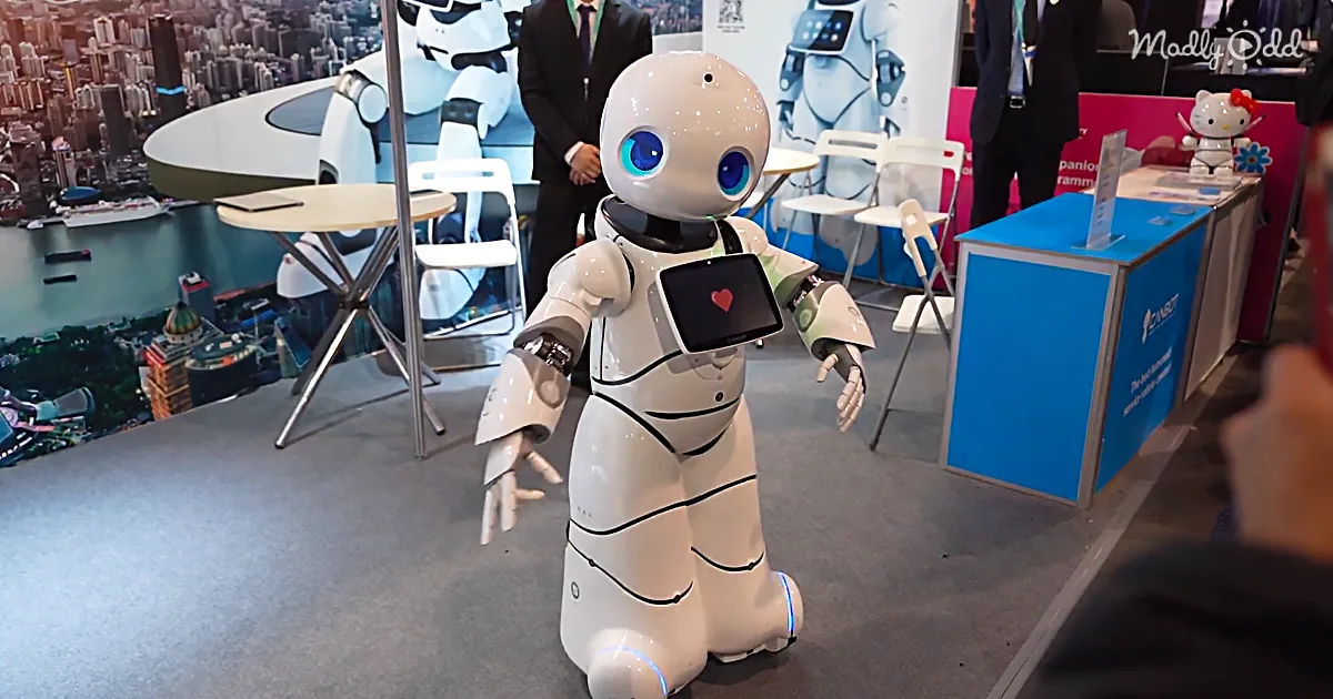Robots Today Can Serve Food, Play Pingpong, Train Pets, and Even Dance