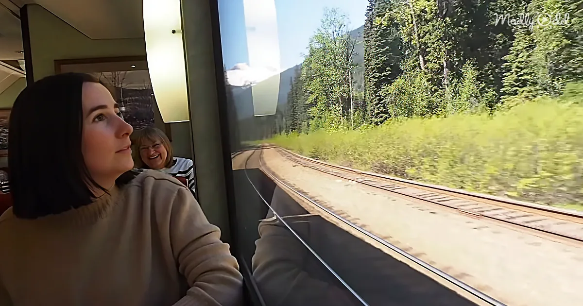 The Rocky Mountain Glass Train Perfect for Canadian Sightseeing