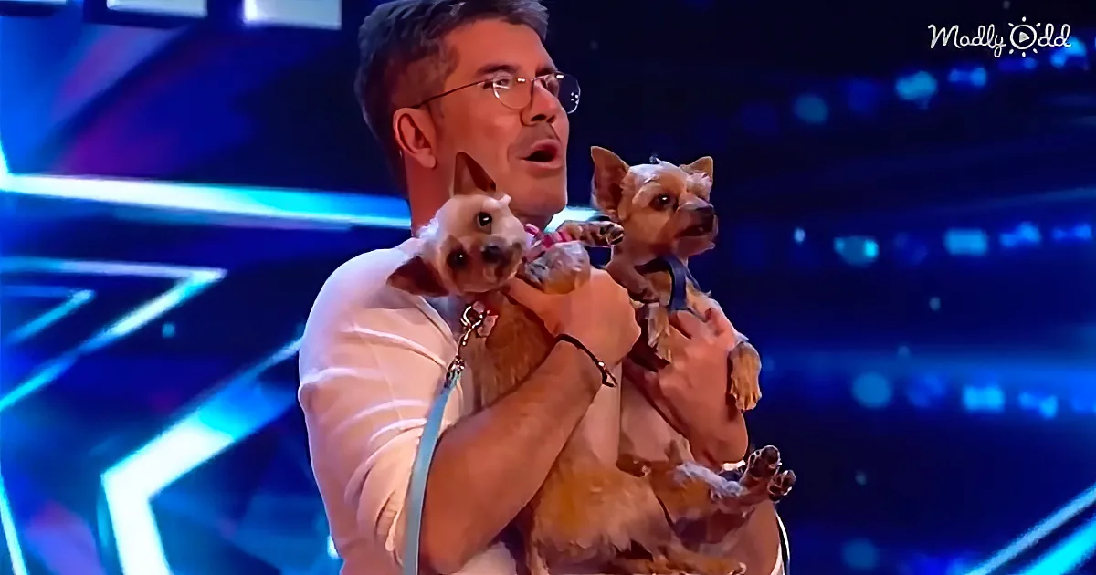 Doga Is This Act's Answer to Yoga and Simon Cowell Joins In