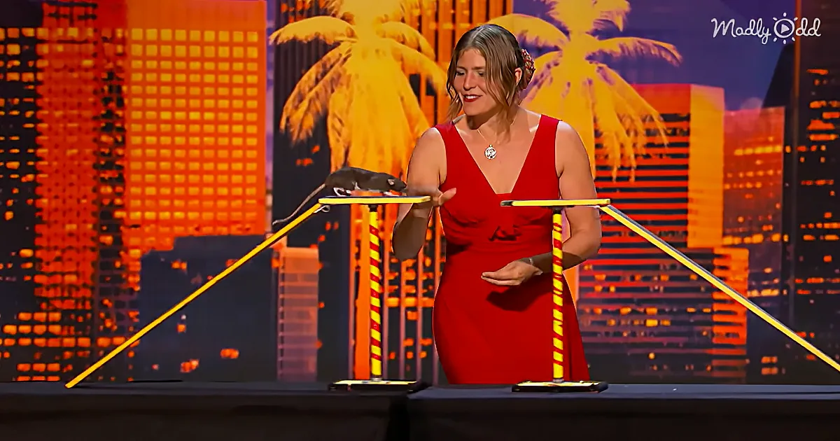 A woman in a red dress stands on stage with a rat on a seesaw, palm trees and city lights in the background.
