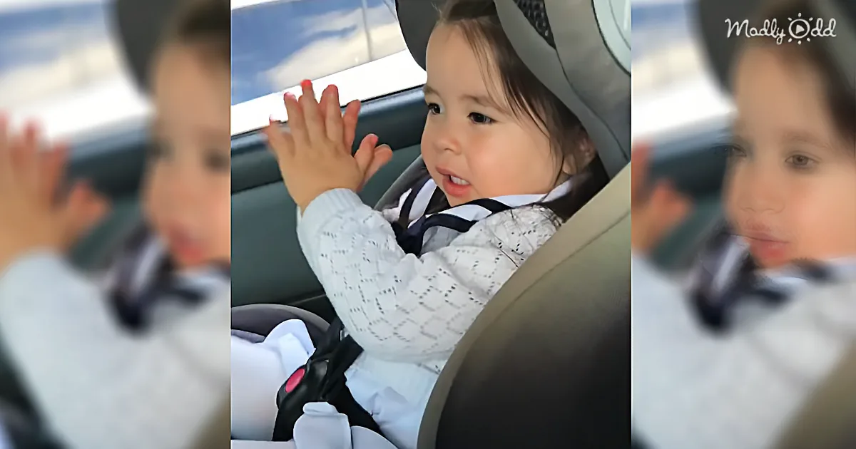Adorable Little Music Lover Waits for Beat to Drop in 'Uptown Funk'