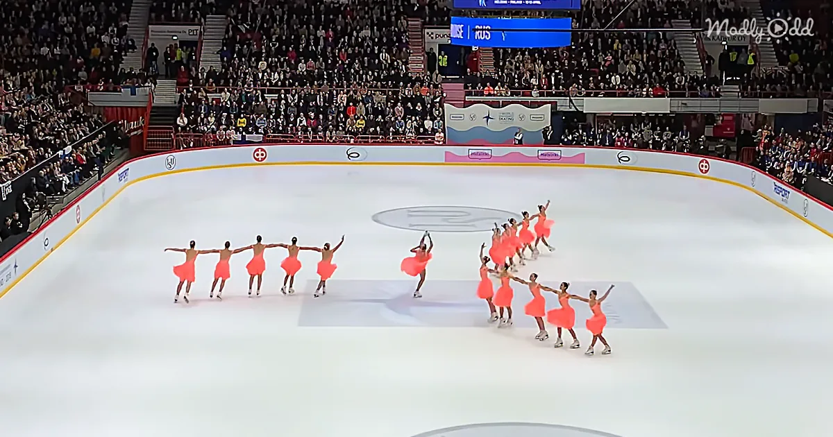 Extravagant Display of Ice Skating by World Champions