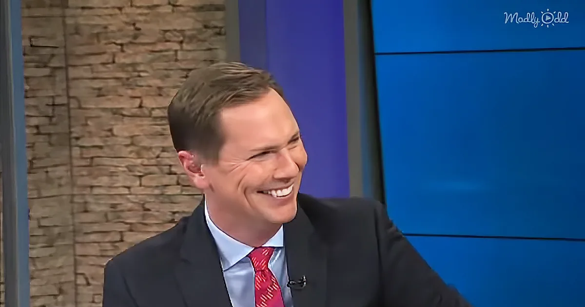 News Anchor Loses It After Hearing What a Witness During a Story Said