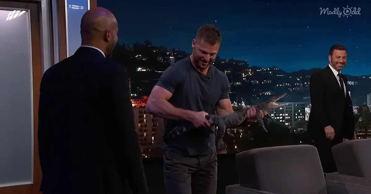 A man holds a small alligator on a talk show set with a cityscape background.
