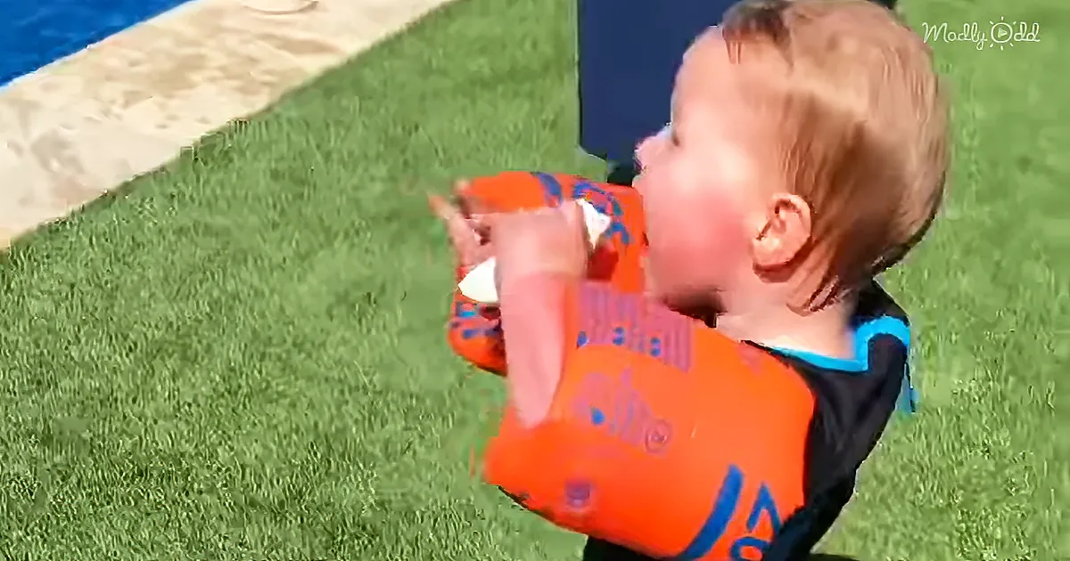 A toddler wearing an orange life vest stands on grass near a pool, holding a white object.
