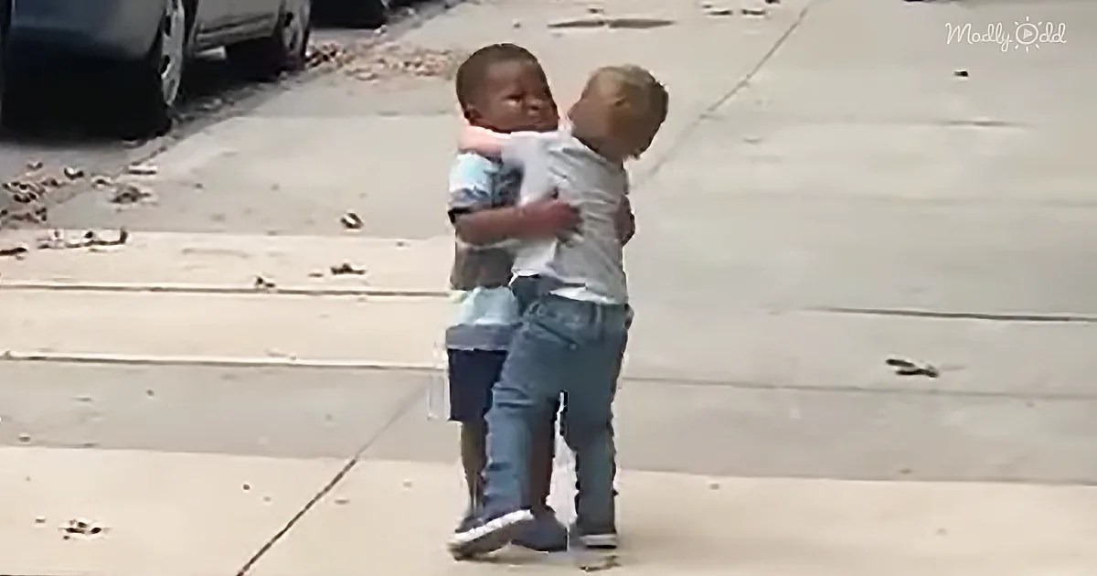 Adorable Street Hug by Two Toddlers