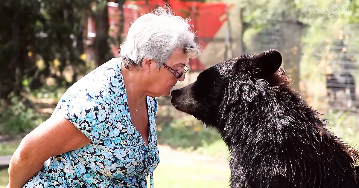Meet the 62-Year-Old Grandma Who Keeps Two Bears and a Tiger as Pets