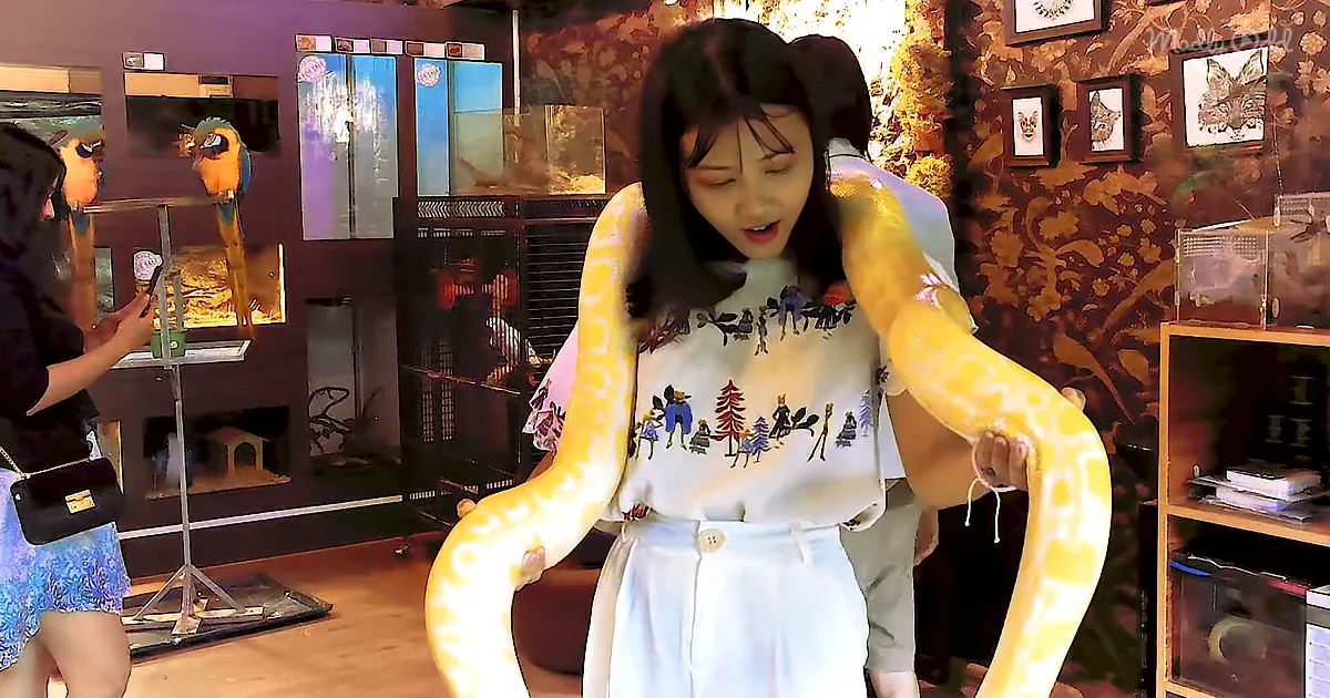 There's a Cafe Where You Can Have Your Cake and Cuddle Exotic Pets
