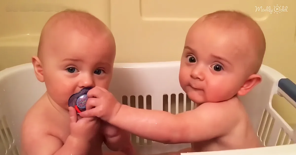 Twins Have Fun With Their Pacifiers