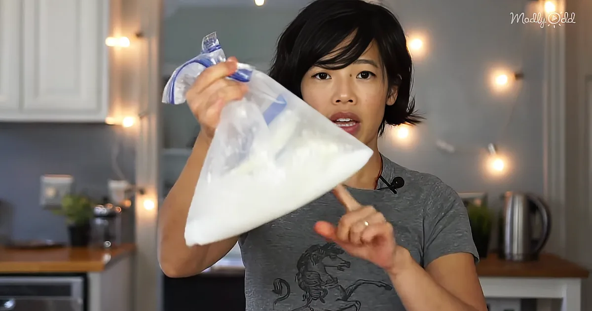 Learn How to Make Homemade Ice Cream...in a Plastic Bag
