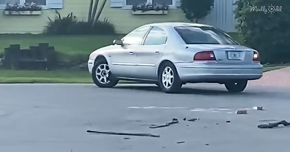 Dog Drives in Circles for an Hour Until the Neighbors Call for Help