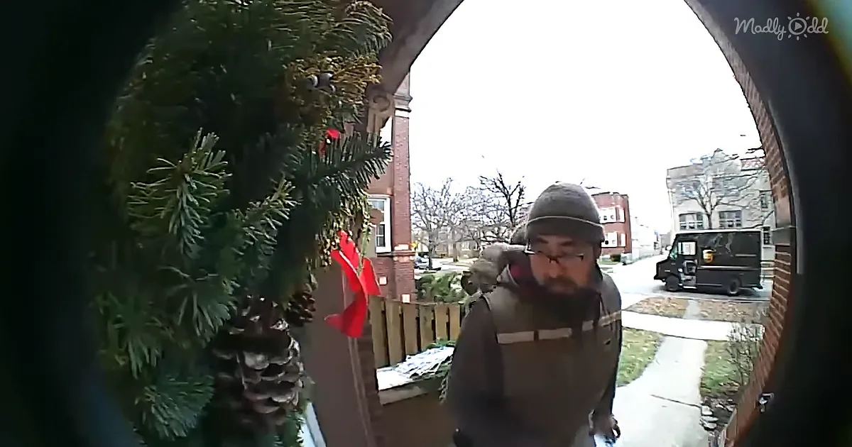 Delivery Man Laughs When Squirrel Jumps on Him From Behind