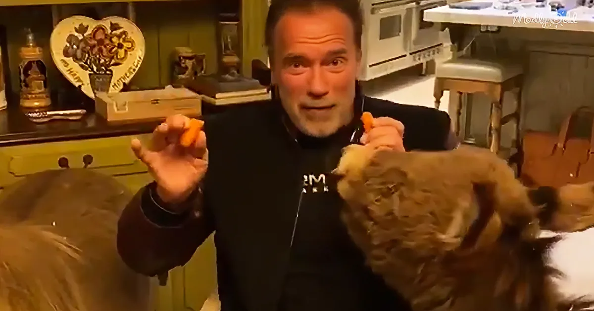 Arnold Schwarzenegger Joined by Mini Horse and Donkey Advises People to Stay Home